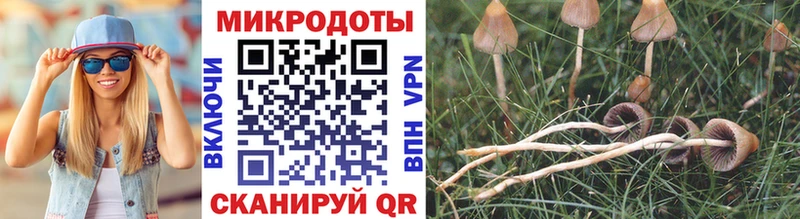 Галлюциногенные грибы MAGIC MUSHROOMS omg как войти Чернушка цена