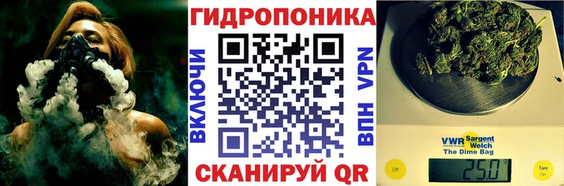 kraken онион Чернушка Марихуана гибрид дарнет шоп